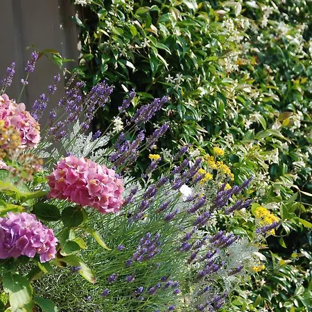 Demeure Des Buis Bed & Breakfast Maroeuil