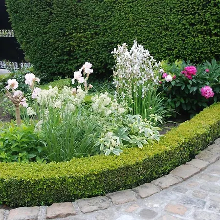 Bed & Breakfast Demeure Des Buis Maroeuil