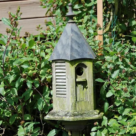 Bed & Breakfast Demeure Des Buis