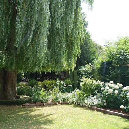Bed & Breakfast Demeure Des Buis 3*