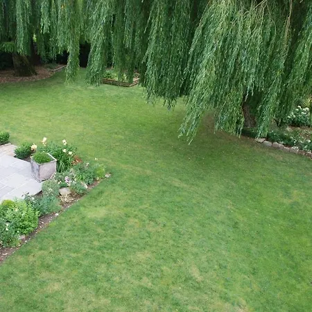 Bed & Breakfast Demeure Des Buis Maroeuil